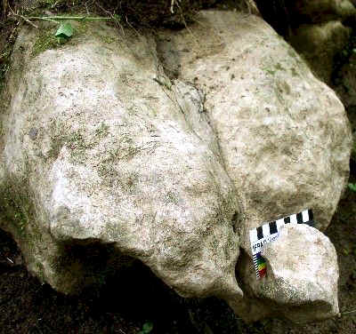 Limestone Sculpture - Day's Knob Archaeological Site