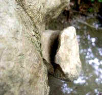 Limestone Sculpture - Day's Knob Archaeological Site