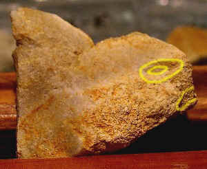 50,000 Years Old? - Pre-Clovis Artifact from Topper Archaeological Site