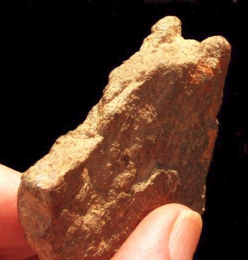 Sandstone Bear Ears - Terry Deal Find, North Carolina