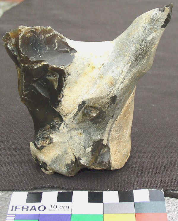 Flint Bird Figure, Gro Pampau, Northern Germany