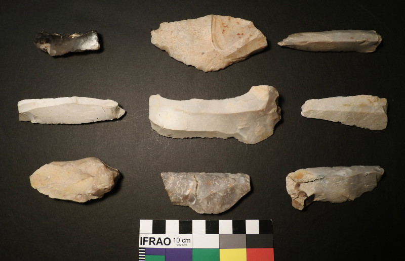 Flint Blade Tools, Groß Pampau, Northern Germany