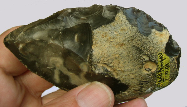 Acheulean Handaxe, Groß Pampau, Ursel Benekendorff Find