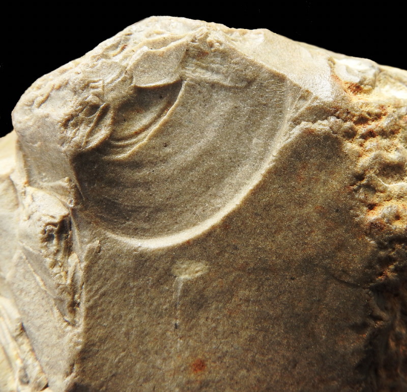 Impact Scar/Ripples on Handaxe Preform, Groß Pampau