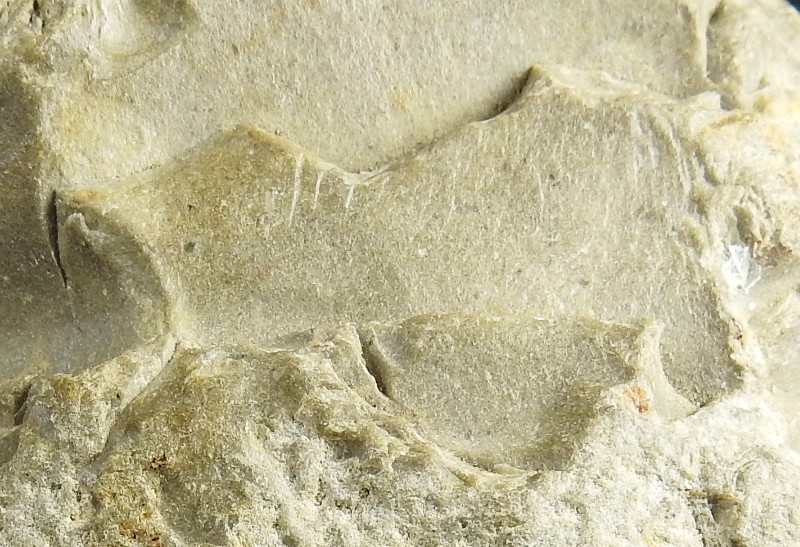 Zoomorphic Figure on Hand Axe Preform - Ursel Benekendorff Find, Groß Pampau