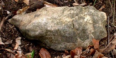 Bird-Venus Statue - Day's Knob Archaeological Site (33GU218)