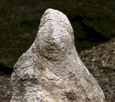 Bird-Venus Statue - Day's Knob Archaeological Site (33GU218)