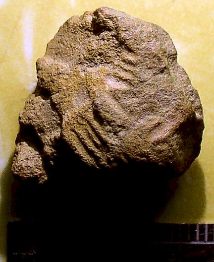 Artifact from Day's Knob Archaeological Site